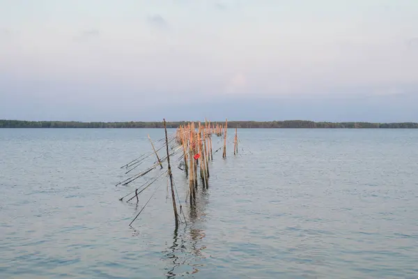 stock image Bamboo dam on water to prevent coastal erosion and marine debris. Tourist attraction with beautiful landscape.