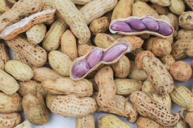 Beyaz arka planda fındık kaynat. Yer fıstığı ya da Arachis hipogaea. Sosyal toplantılarda en sevdiği atıştırmalık içkiyle yenir..