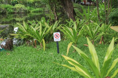 Köpekler parka imza atamaz. Yeşil çimenlik, park alanının korunması sonbahar yeşillikleri ve kentsel öğeler içerir.