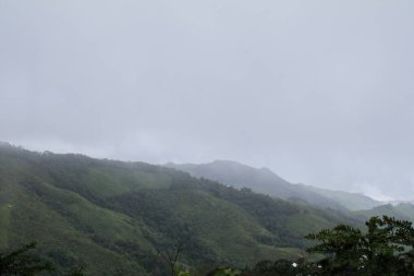 Dağ zirvesi sisle kaplı yeşil ağaçlarla kaplı. Sabahları dünya dışı ve huzurlu bir ortam yaratıyor..