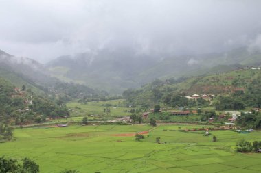 Vadide pirinç tarlası ve dağda sabah. Yağmur mevsiminde güzel doğal manzara.