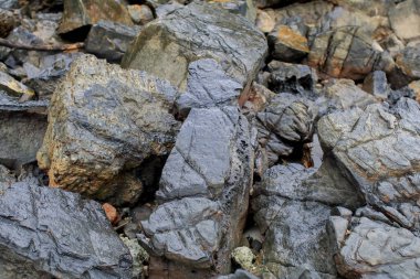 Sahilde kaya ya da taş gibi sert bir yüzey. Doğa manzarası. Yaz seyahati.