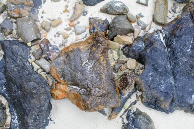 Sahilde kaya ya da taş gibi sert bir yüzey. Doğa manzarası. Yaz seyahati.