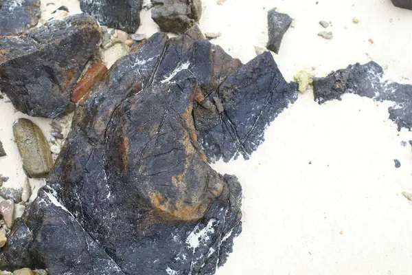 Sahilde kaya ya da taş gibi sert bir yüzey. Doğa manzarası. Yaz seyahati.