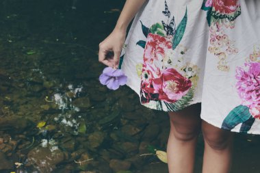 Bahçedeki güzel çiçekler