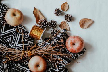 Çam kozalakları, tarçın ve anason içeren Noel arkaplanı
