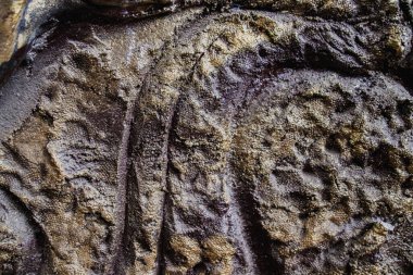 Kadim taşın dokusu