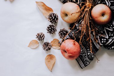 Sonbahar sakin bir hayattır. Bir buket kurutulmuş kırmızı elma, bir buket yaprak, bir dal beyaz pamuk, bir ekose, bir ekose