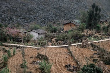 açık hava manzarasının resimsel görüntüsü