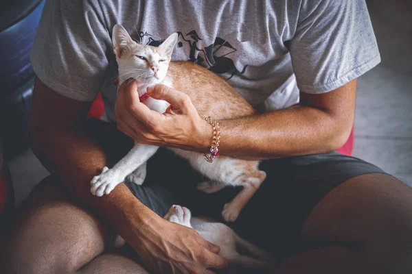 Man Met Een Witte Kat Zijn Hand — Stockfoto
