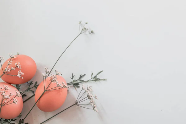 Пасхальні Яйця Гнізді Білому Тлі — стокове фото