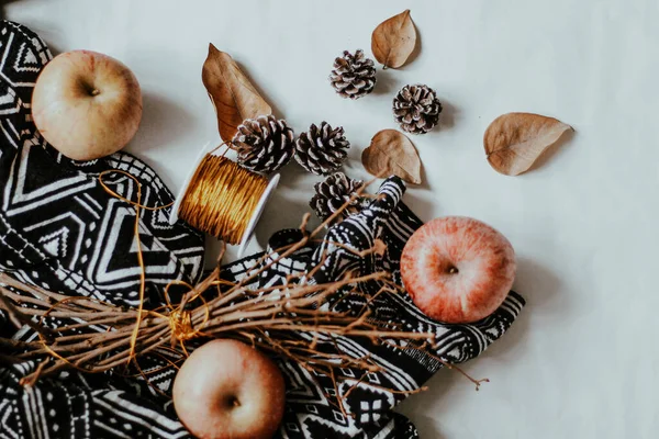 Sonbahar sakin bir hayattır. Beyaz arkaplanda kabak, kurumuş yaprak ve koni içeren sonbahar kompozisyonu.