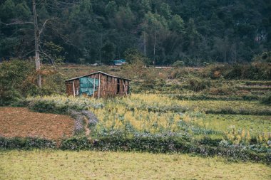 Ahşap bir evi ve yeşil otları olan güzel bir manzara.
