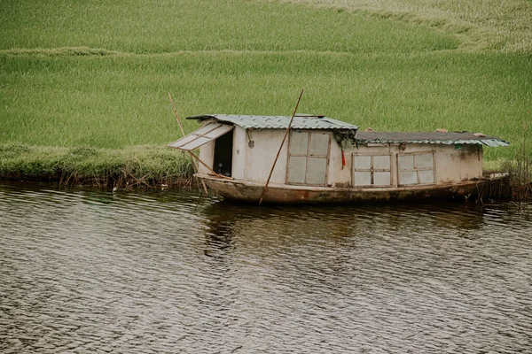 Grüne Wiese Und Ein Boot Hintergrund — Stockfoto