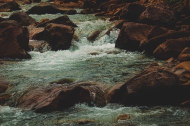 Ormandaki dağ nehri