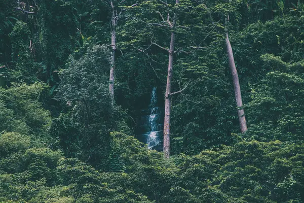 Dağlarda yeşil orman ve ağaçlar