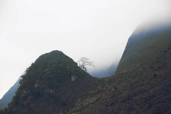 Dağlardaki Manzara Çok Güzel Doğa Seyahat — Stok fotoğraf