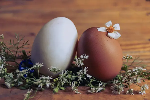 Великодні Яйця Дерев Яному Фоні — стокове фото