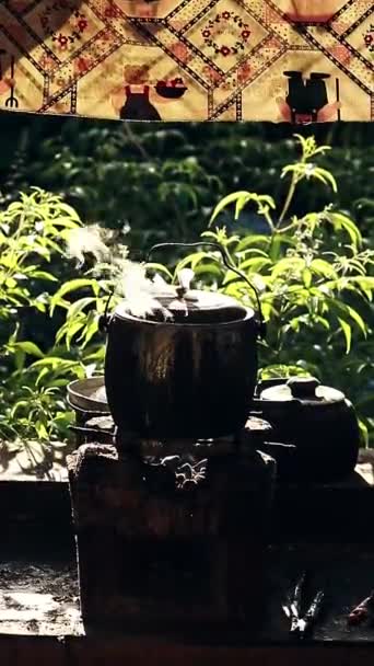 Vertical Pot Riz Fumant Dans Cottagecore Abuhan Filipino — Video