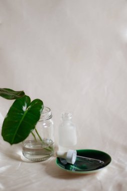 Beyaz arka planda yeşil yapraklı cam şişe. Yüz için doğal ürün, cilt bakımı, organik kozmetik ürünleri 