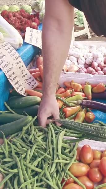Ernte Frischer Grüner Chilischoten Auf Dem Örtlichen Bauernmarkt — Stockvideo
