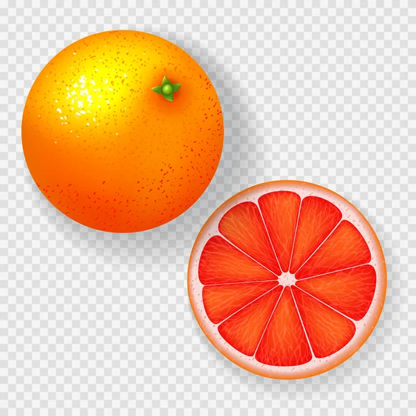 Realistische Grapefruit Geïsoleerd Transparante Achtergrond Bovenaanzicht Hele Grapefruit Één Plakje — Stockvector