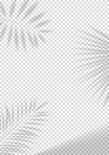 透明影オーバーレイ効果を持つベクトルポスター 装飾のための熱帯の葉の現実的な灰色の影 ベクターイラスト — ストックベクタ