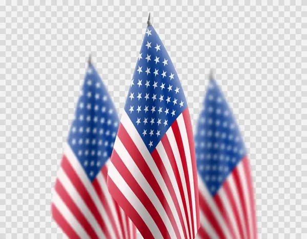 Amerikaanse Vlaggen Geïsoleerd Geruite Achtergrond Amerikaanse Vlaggen Geïsoleerd Een Geblokte Vectorbeelden