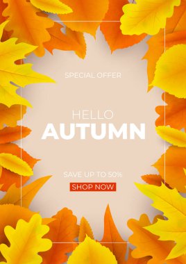 Sonbahar indirimi poster tasarımı. Renkli yapraklı vektör çizimi. Dekorasyon için parlak sonbahar ilanı mevsimlik indirim teklifi, reklam, afiş, web, sosyal medya.