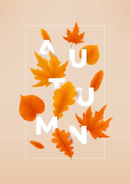 Parlak sonbahar poster şablonu. Renkli yapraklı vektör çizimi. Dekorasyon için sonbahar afişi mevsimlik indirim teklifi, reklam, poster, afiş, web, sosyal medya.