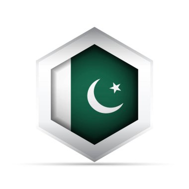 Pakistan ulusal bayrağının 3 boyutlu vektör ikonu beyaz hilal ve yeşil alanda bir altıgen içinde yıldız. Bilgi grafikleri, haritalar, UI, eğitim ve kültürel veya vatansever temalar için mükemmel.