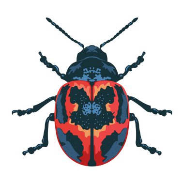 Güzel uğur böceği çizgi filmi çizimi izole edildi