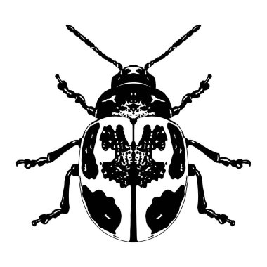 Güzel uğur böceği çizgi filmi çizimi izole edildi