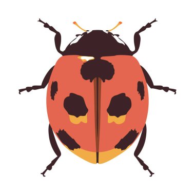 Güzel uğur böceği çizgi filmi çizimi izole edildi