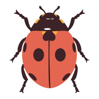 Güzel uğur böceği çizgi filmi çizimi izole edildi