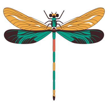 Güzel yusufçuk karikatür çizimi izole edildi