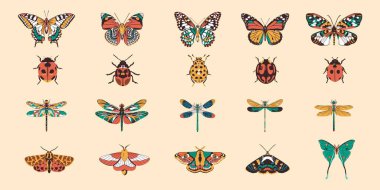 Böcek egzotik böcekler çizgi film setinin çizimleri izole edildi