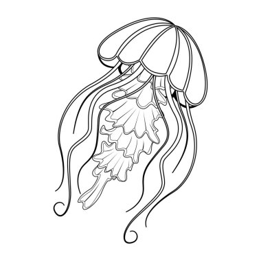 Çizgi film Denizanası Karakteri çizimleri izole etti