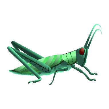 Cartoon Grasshopper Character isolated illustration clipart