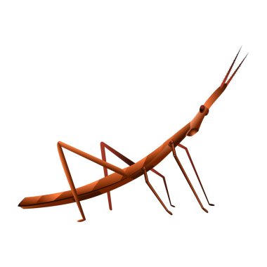 Cartoon stick insect Character isolated illustration clipart