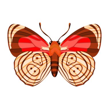 Cartoon Butterfly 88 89 Character isolated illustration clipart