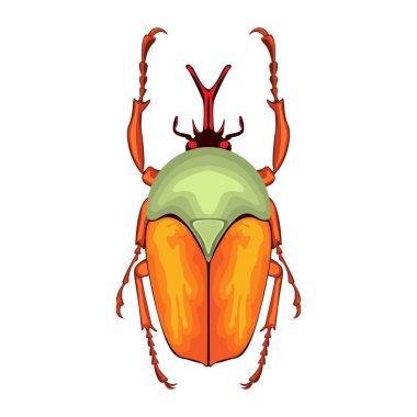 Karikatür Çiçek Böceği Karakteri izole edilmiş