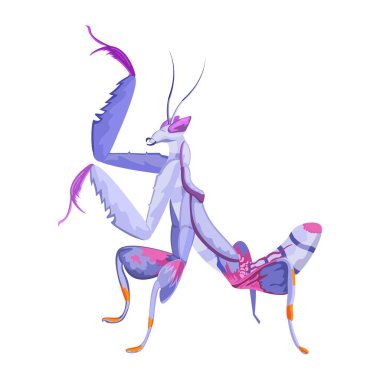 Cartoon Orchid mantis Character isolated illustration clipart