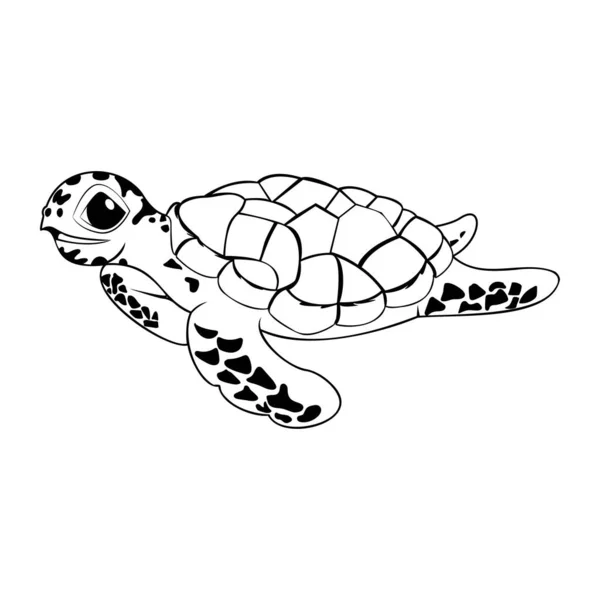 Изолированная Иллюстрация Персонажа Черепахи Мультфильма — стоковый вектор