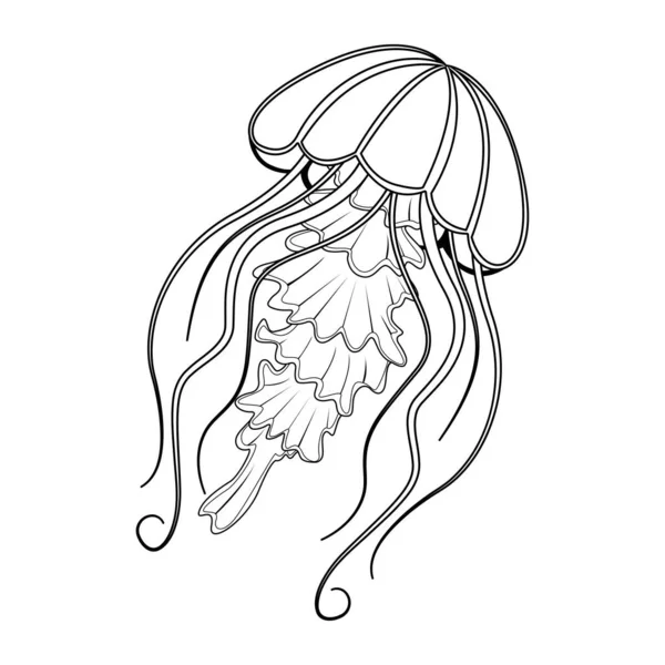 Desenhos Animados Medusa Personagem Ilustração Isolada — Vetor de Stock