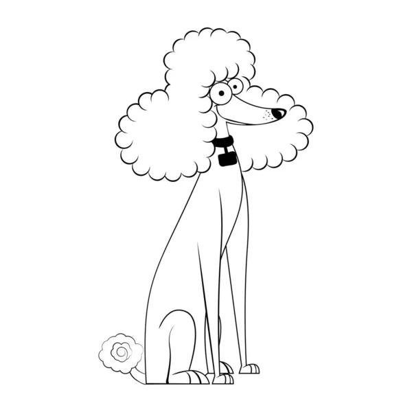 Изолированная Иллюстрация Мультфильма Пудель Собака — стоковый вектор