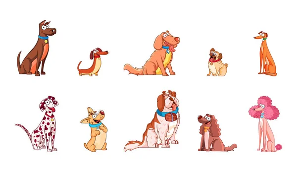 Wektor Cartoon Dog Pet Character Izolowane Ilustracja — Wektor stockowy
