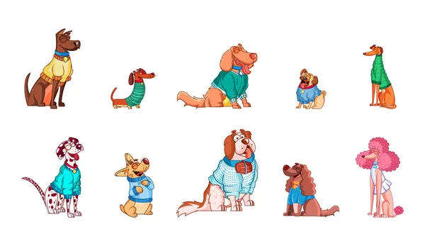 Vector Cartoon Dogs Sweater Character Terisolasi Ilustrasi - Stok Vektor