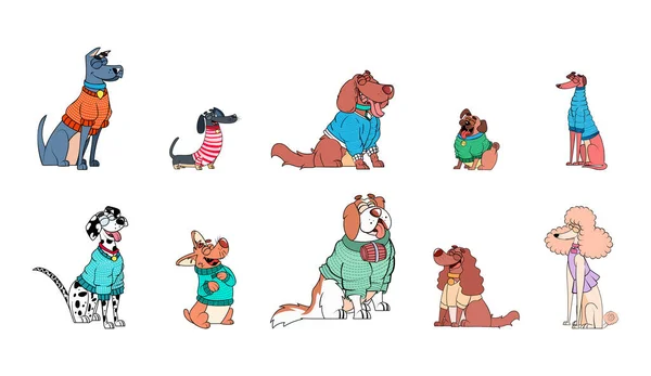 Wektor Cartoon Dogs Charakterem Sweter Izolowane Ilustracji — Wektor stockowy