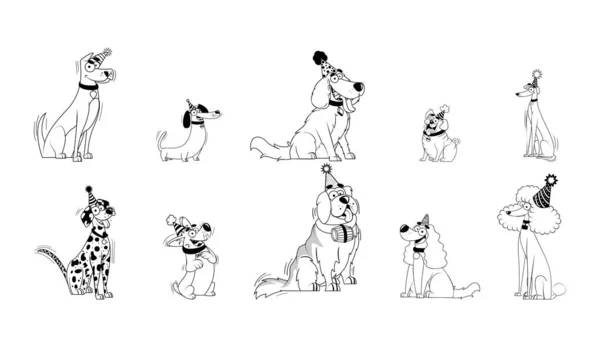Vector Cartoon Dog Pet Birthday Karakter Elszigetelt Illusztráció — Stock Vector